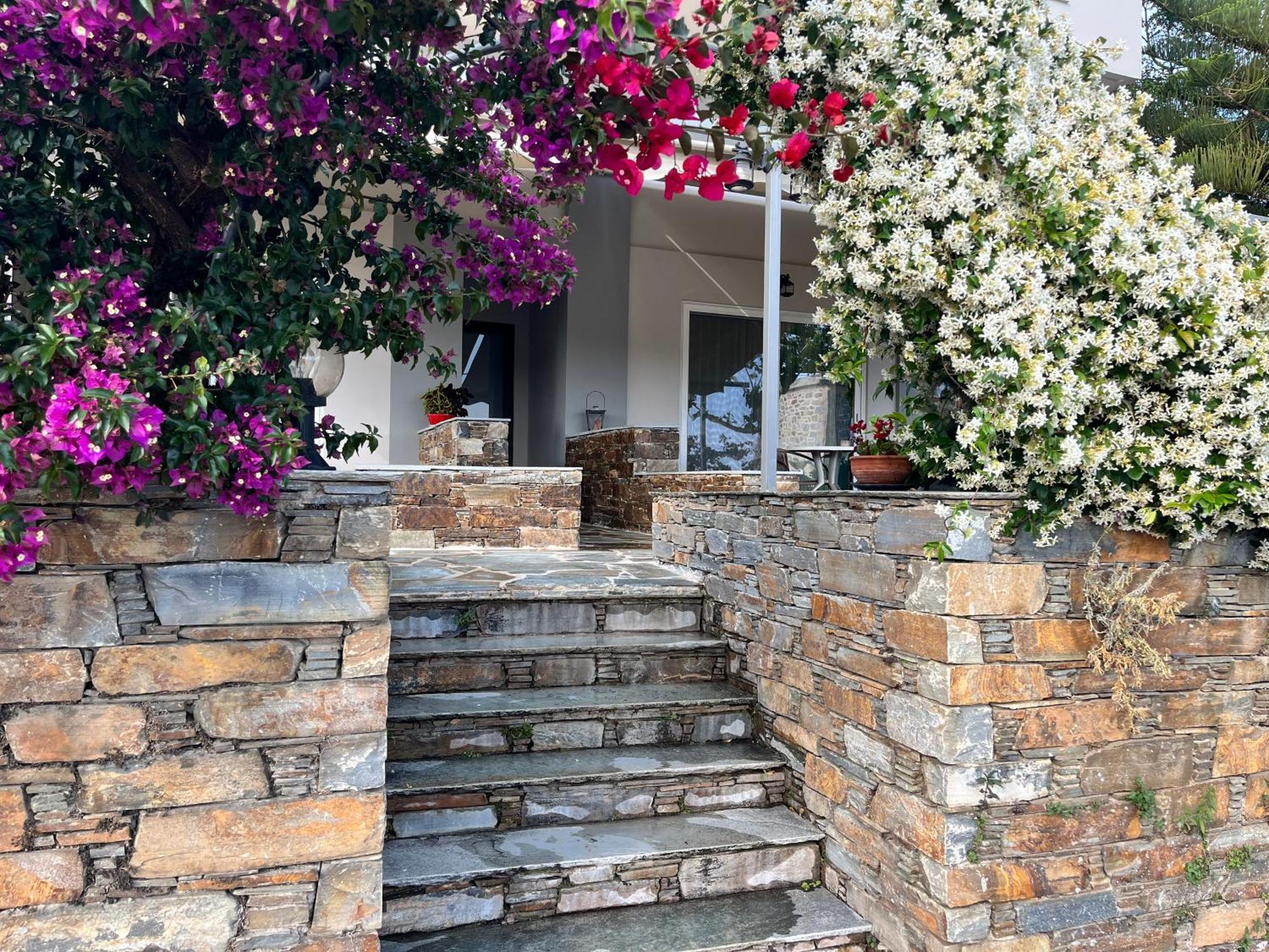 Giasemi Apartments Karystos  Exterior photo